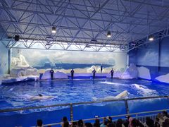 -秦皇岛乐岛海洋王国