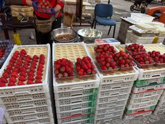 -船歌·鱼水饺青岛菜(国贸商城店)