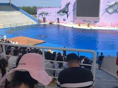 -北戴河圣蓝海洋公园