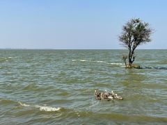 -捞渔河湿地公园