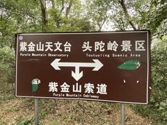 -紫金山山顶公园