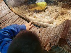 -萌宠奇缘