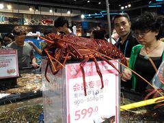 澳洲龙虾-盒马鲜生(曜一城店)