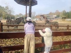 -大连森林动物园