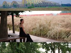 -中国天府农业博览园