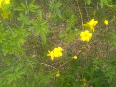 -白塘生态植物园