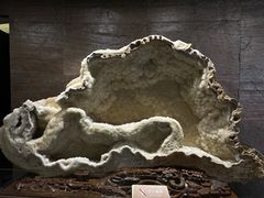 -贵州省地质博物馆