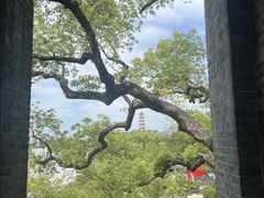 -江心屿景区