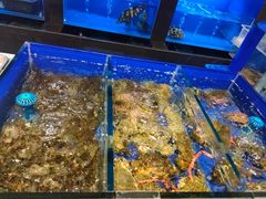 -金时代顺风大酒店(临港百联店)