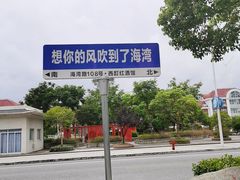 -碧海金沙