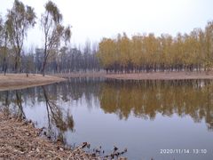 -东郊湿地公园