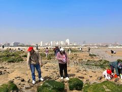 -巧克力渔家.小船海鲜家常菜(万平口店)