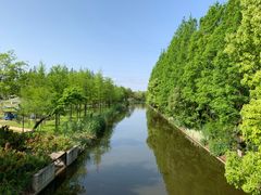 -上海长兴岛郊野公园