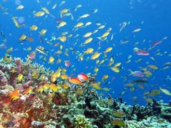 -太平洋海底世界