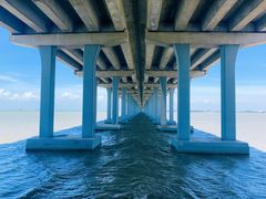 -宝安西湾红树林湿地公园