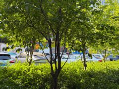 -金春禧(英雄山路旗舰店)