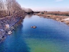 -东郊湿地公园