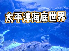 -太平洋海底世界