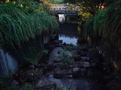 -杭州半山国家森林公园