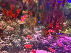 -沈阳海洋探索中心