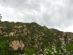 -大岭沟猕猴桃谷风景区
