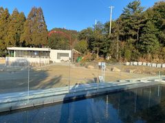 -玉苍山国家森林公园