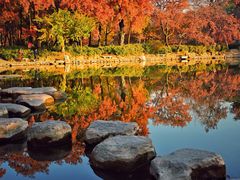 -上海共青森林公园