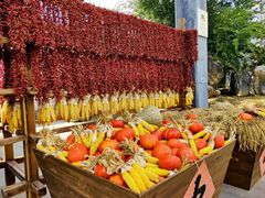 -婺源梦里老家大型山水实景演出