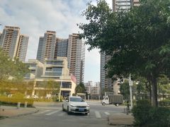 -飞来湖湿地公园