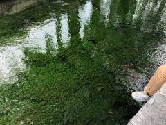 -百花洲