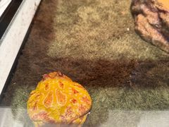 -上海昆虫博物馆