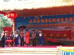 -北海金海湾红树林生态旅游区