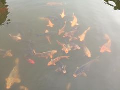 -绍兴鉴湖君澜大酒店
