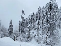 -瓦屋山景区
