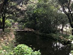 -成都市活水公园