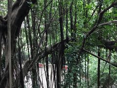 -乌山风景区