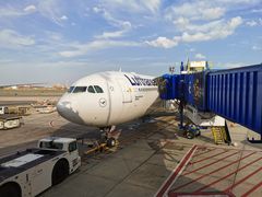 -纽瓦克自由国际机场