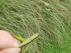 -白鹭湾湿地公园