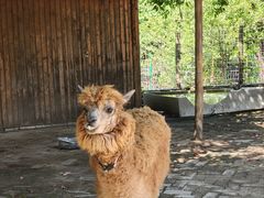 -武汉紫薇都市田园