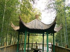 -陶祖圣境风景区