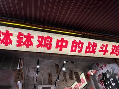 -嘉州鲜知味钵钵鸡(奎星楼店)