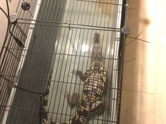 -平行世界·猫咖(首经贸店)