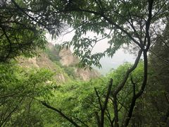 -北京鹫峰国家森林公园