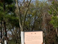 -佛手湖郊野公园