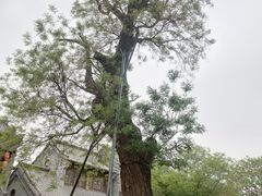 -青州古城
