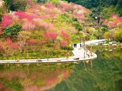 -蔡氏古民居建筑群