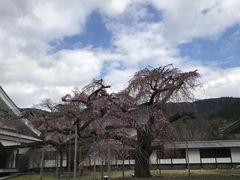 -醍醐寺