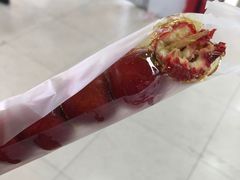 -和禄德冰糖葫芦