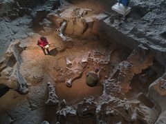 -自贡恐龙博物馆