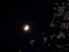 -泰州凤城河风景区-泰山公园